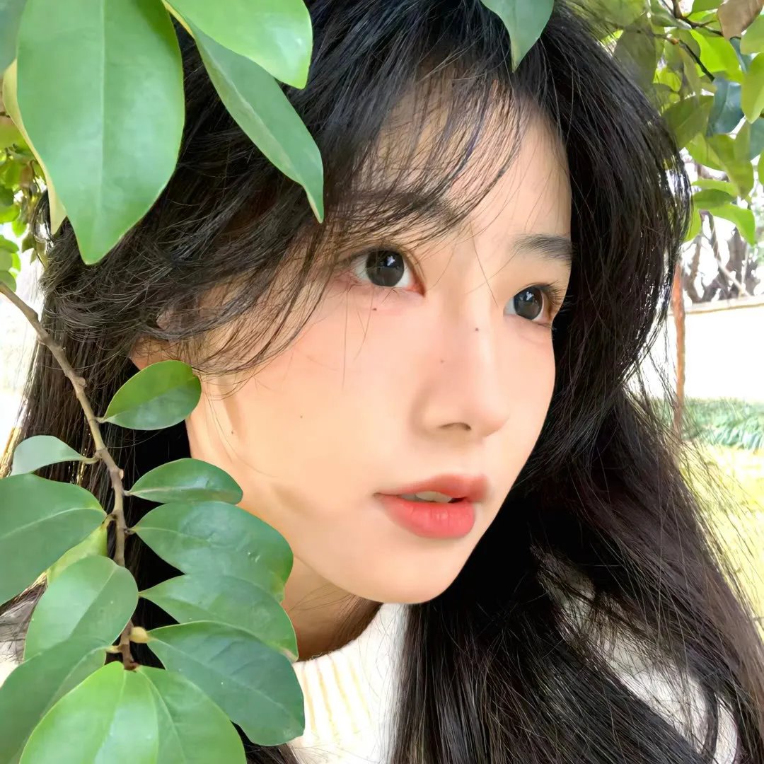 鸟瞰人生